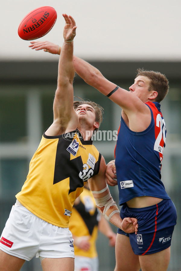 VFL 2018 Round 18 - Coburg v Werribee - 618005