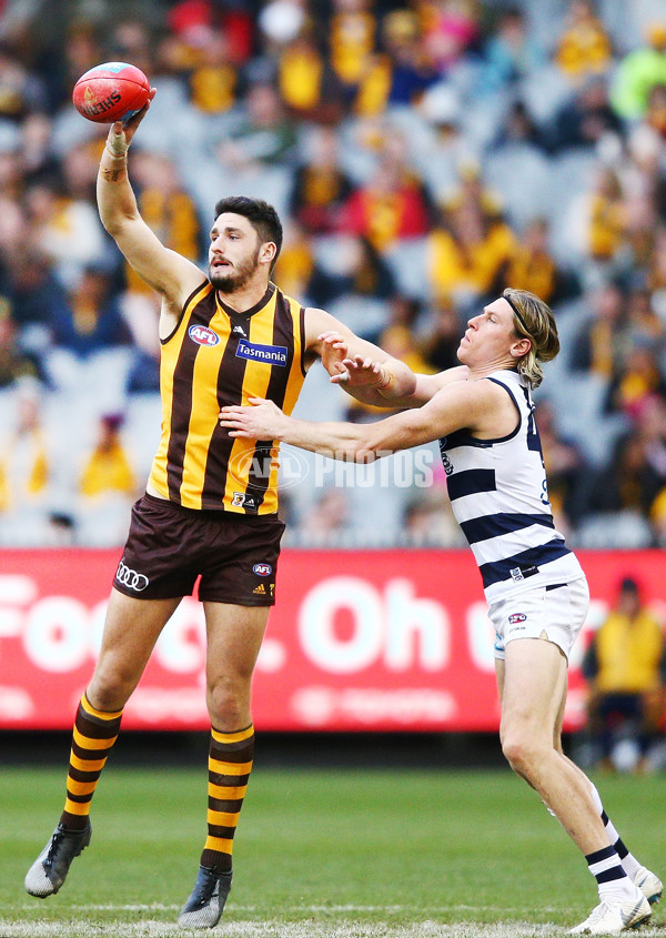 AFL 2018 Round 21 - Hawthorn v Geelong - 619755