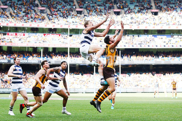 AFL 2018 Round 21 - Hawthorn v Geelong - 619808