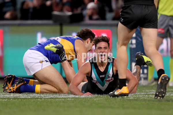 AFL 2018 Round 21 - Port Adelaide v West Coast - 619817