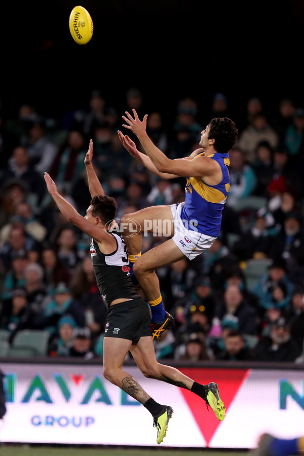 AFL 2018 Round 21 - Port Adelaide v West Coast - 619825