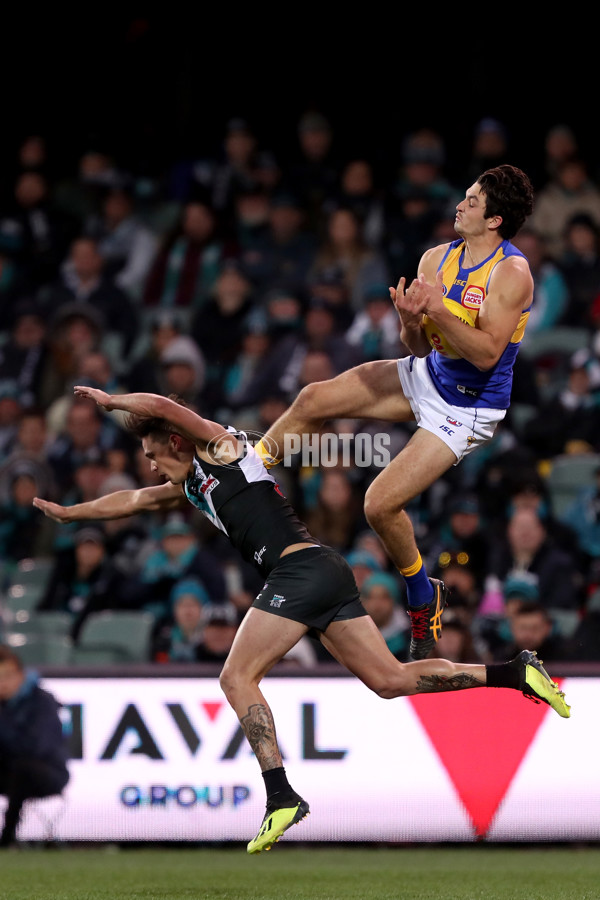 AFL 2018 Round 21 - Port Adelaide v West Coast - 619827