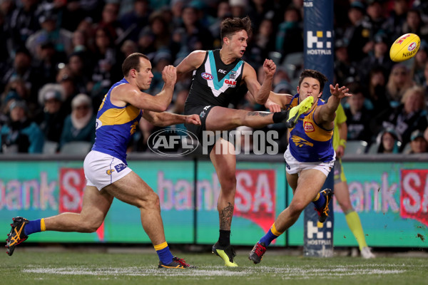 AFL 2018 Round 21 - Port Adelaide v West Coast - 619820