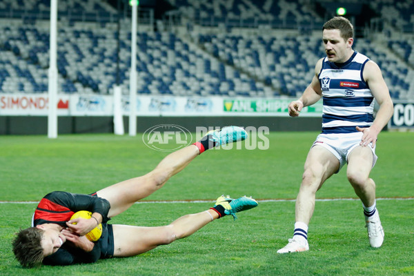 VFL 2018 Round 19 - Geelong v Essendon - 620385