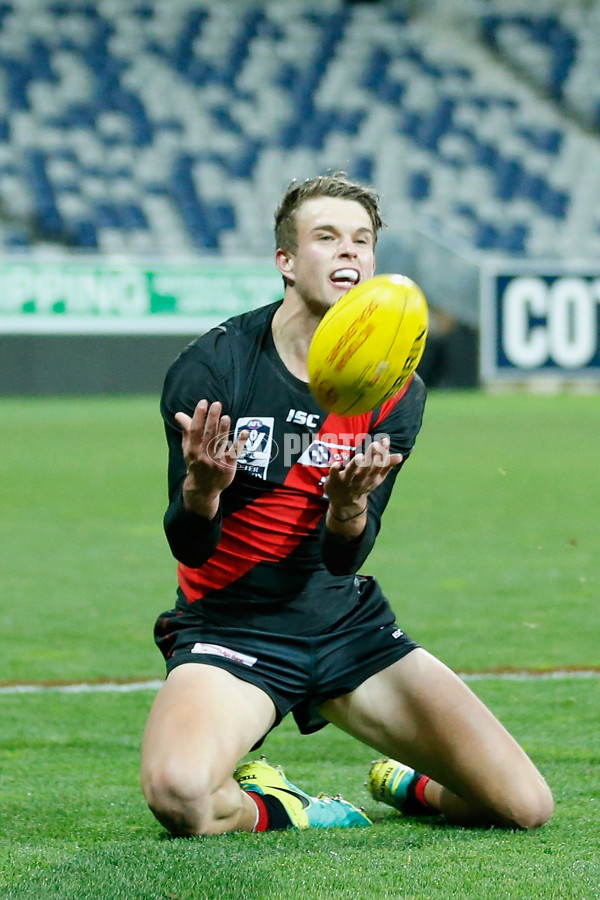 VFL 2018 Round 19 - Geelong v Essendon - 620381