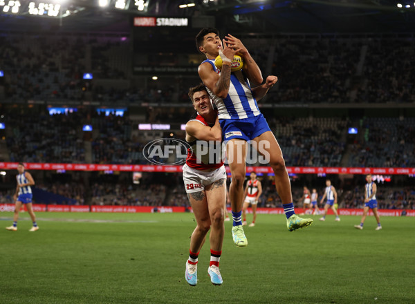 AFL 2023 Round 08 - North Melbourne v St Kilda - A-32235550