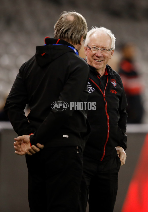 AFL 2018 Round 21 - Essendon v St Kilda - 621241