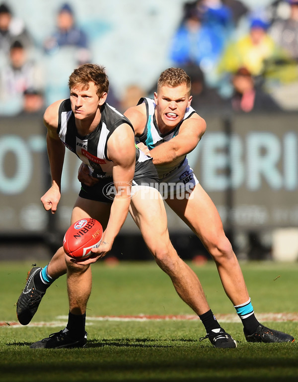 AFL 2018 Round 22 - Collingwood v Port Adelaide - 621906