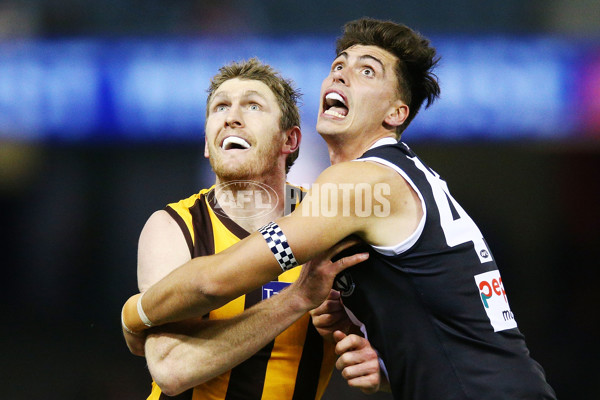 AFL 2018 Round 22 - St Kilda v Hawthorn - 622474