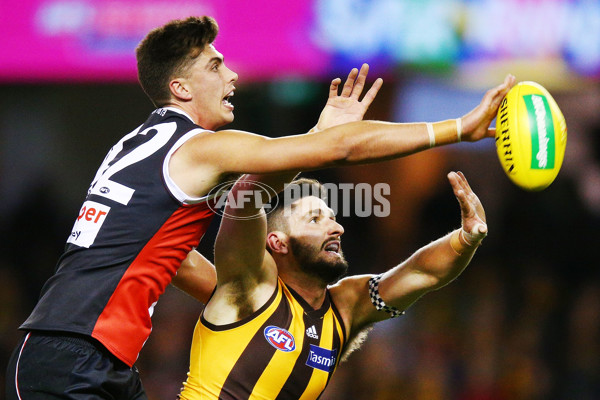 AFL 2018 Round 22 - St Kilda v Hawthorn - 622442