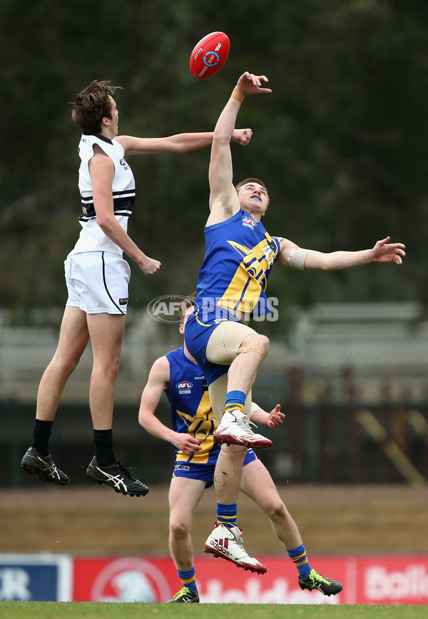 TAC Cup 2018 Round 15 - Western Jets v Northern Knights - 622777