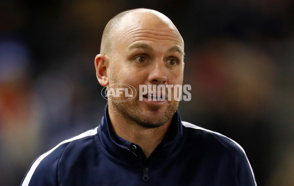 AFL 2018 Round 22 - Carlton v Western Bulldogs - 623118