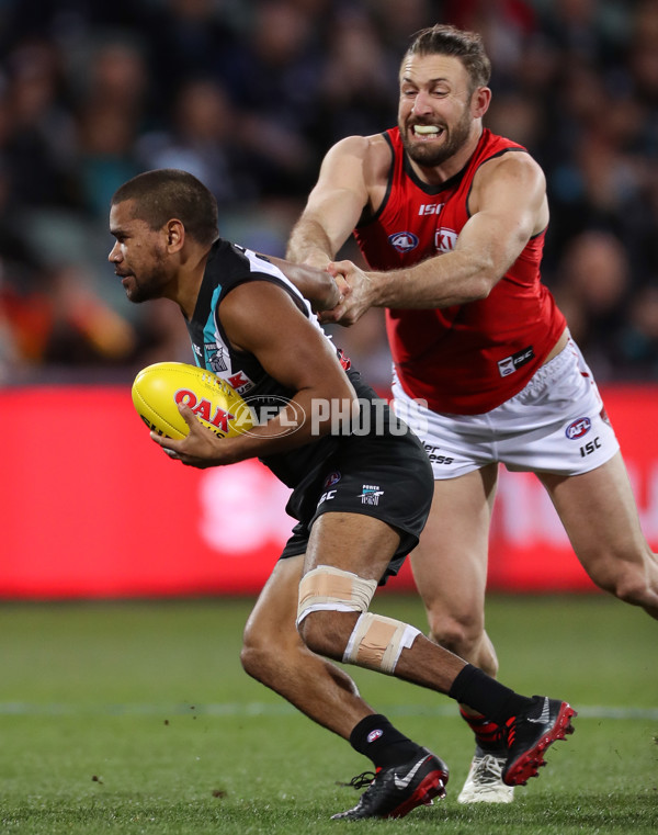 AFL 2018 Round 23 - Port Adelaide v Essendon - 623810