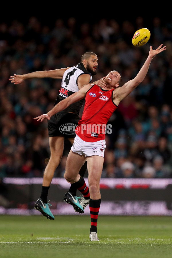 AFL 2018 Round 23 - Port Adelaide v Essendon - 623703