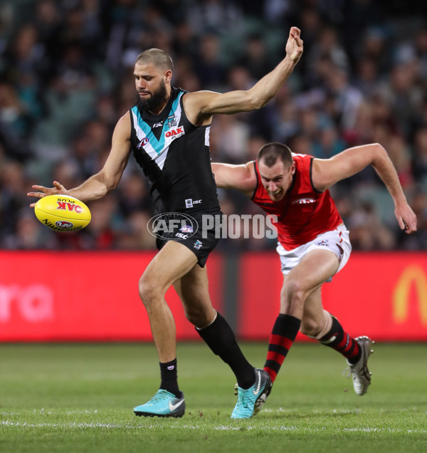 AFL 2018 Round 23 - Port Adelaide v Essendon - 623809