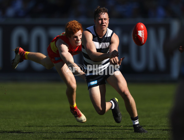 AFL 2018 Round 23 - Geelong v Gold Coast - 623952