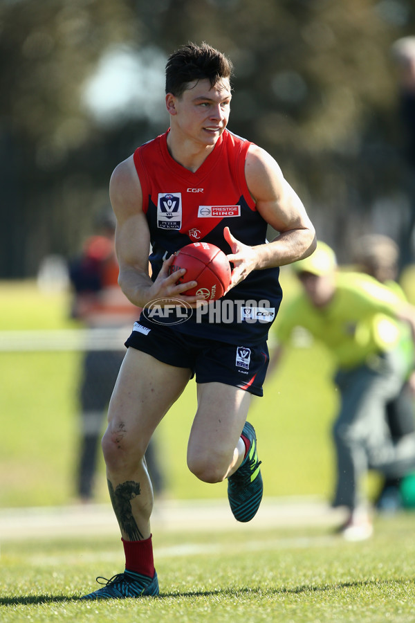 VFL 2018 Round 21 - Casey v Williamstown - 624153