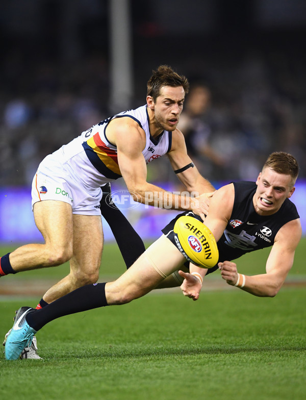 AFL 2018 Round 23 - Carlton v Adelaide - 624603