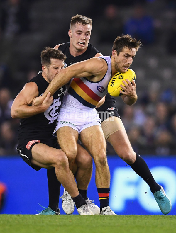 AFL 2018 Round 23 - Carlton v Adelaide - 624705