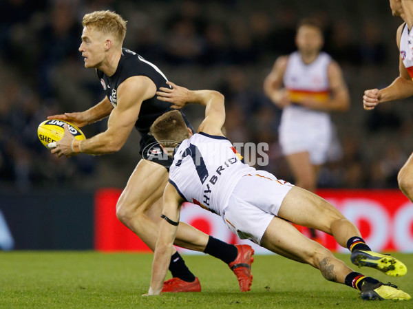 AFL 2018 Round 23 - Carlton v Adelaide - 624720