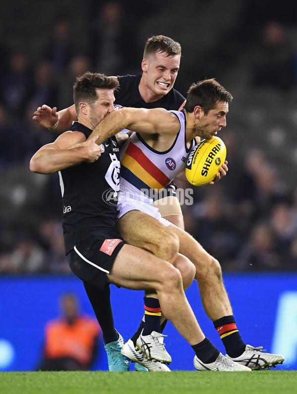 AFL 2018 Round 23 - Carlton v Adelaide - 624703