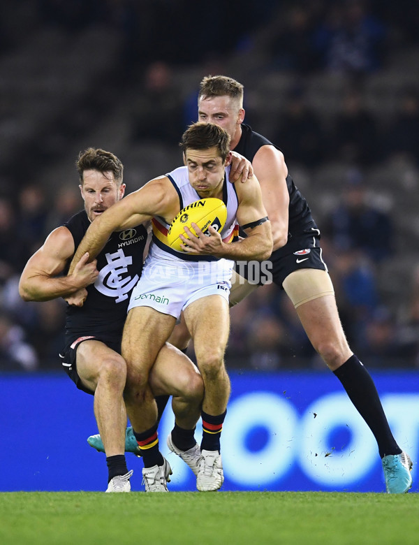 AFL 2018 Round 23 - Carlton v Adelaide - 624707