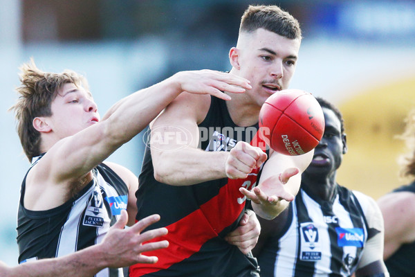 VFL 2018 Qualifying Finals - Collingwood v Essendon - 626598