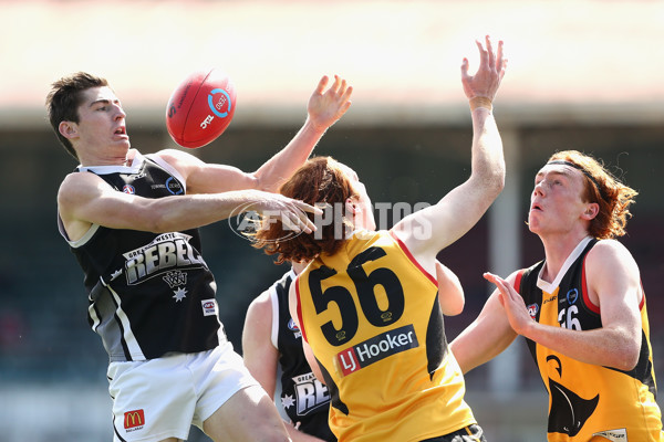 TAC Cup 2018 Elimination Final - Dandenong v GWV - 627978