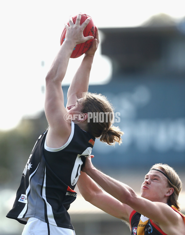 TAC Cup 2018 Elimination Final - Dandenong v GWV - 627976