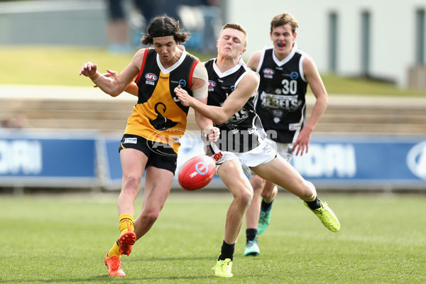 TAC Cup 2018 Elimination Final - Dandenong v GWV - 628030