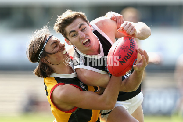 TAC Cup 2018 Elimination Final - Dandenong v GWV - 628028