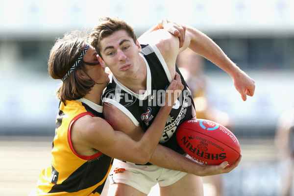 TAC Cup 2018 Elimination Final - Dandenong v GWV - 628024