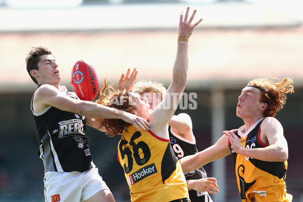 TAC Cup 2018 Elimination Final - Dandenong v GWV - 627979