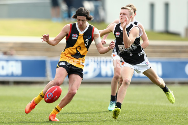 TAC Cup 2018 Elimination Final - Dandenong v GWV - 628029