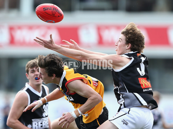 TAC Cup 2018 Elimination Final - Dandenong v GWV - 628015