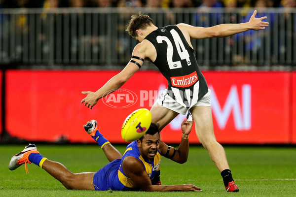 AFL 2018 Second Qualifying Final - West Coast v Collingwood - 628568