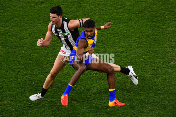 AFL 2018 Second Qualifying Final - West Coast v Collingwood - 628619