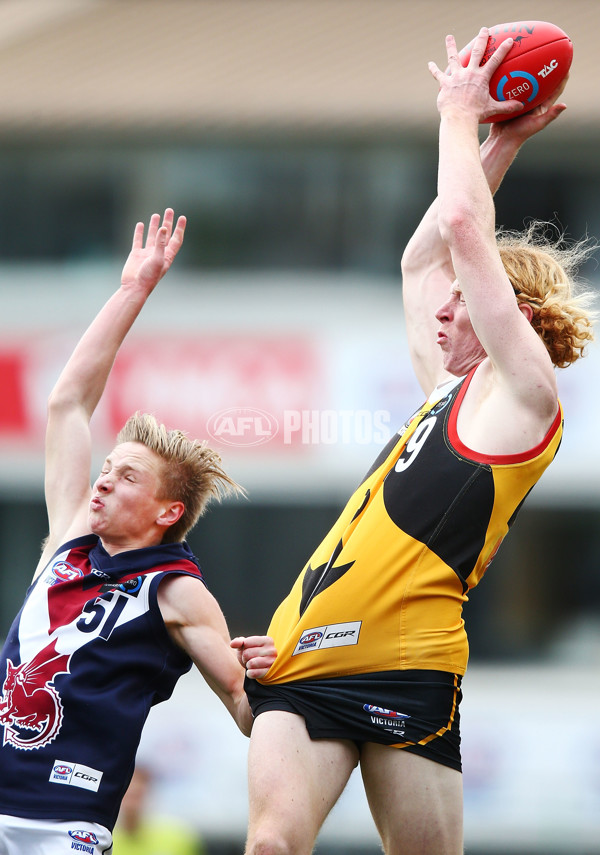 TAC Cup 2018 Preliminary Final - Dandenong v Sandringham - 630109