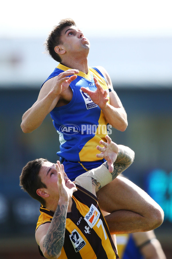 VFL 2018 Preliminary Final - Williamstown v Box Hill - 630584