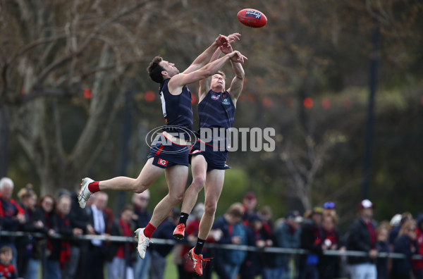 AFL 2018 Training - Melbourne 190918 - 631104