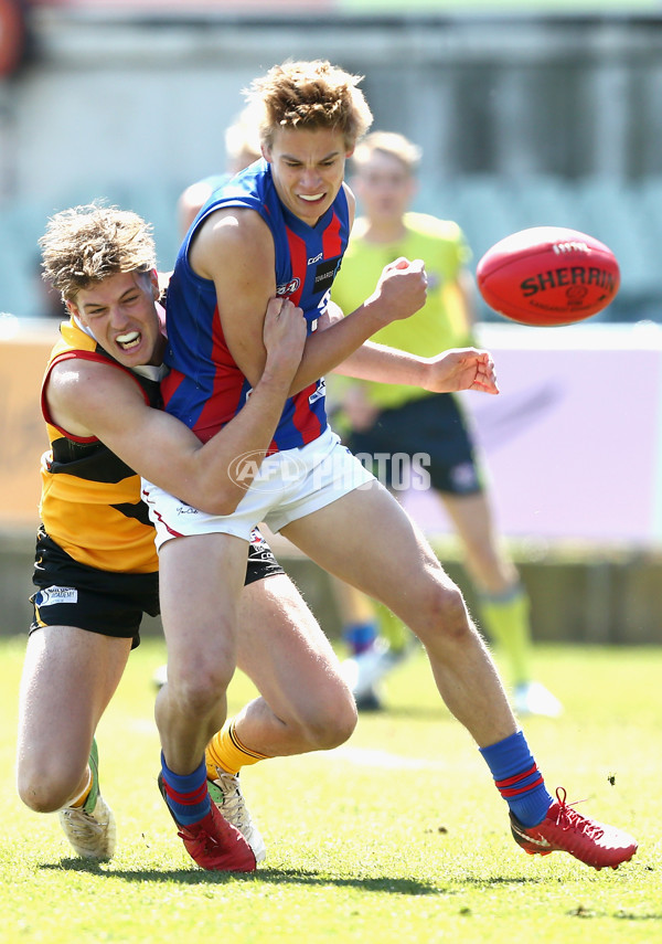 TAC Cup 2018 Grand Final - Dandenong v Oakleigh - 631837