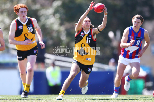 TAC Cup 2018 Grand Final - Dandenong v Oakleigh - 631833