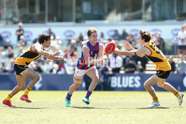 TAC Cup 2018 Grand Final - Dandenong v Oakleigh - 631858