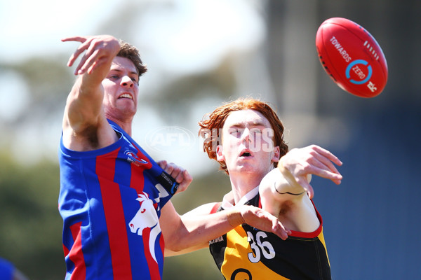 TAC Cup 2018 Grand Final - Dandenong v Oakleigh - 631850