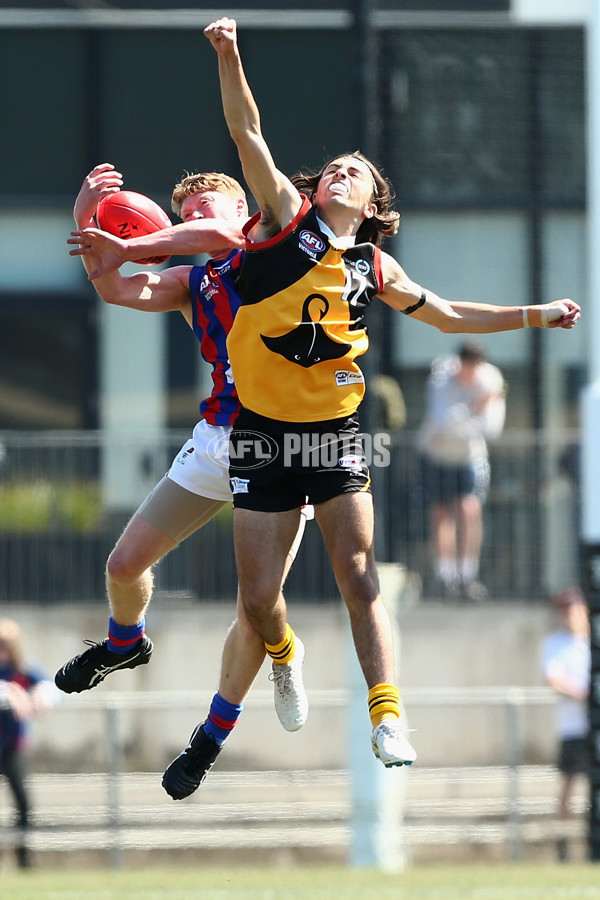 TAC Cup 2018 Grand Final - Dandenong v Oakleigh - 631853