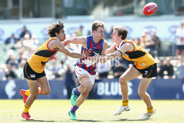 TAC Cup 2018 Grand Final - Dandenong v Oakleigh - 631861