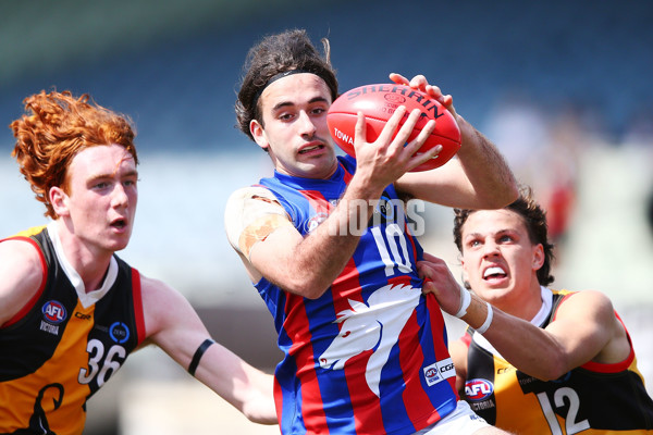 TAC Cup 2018 Grand Final - Dandenong v Oakleigh - 631882