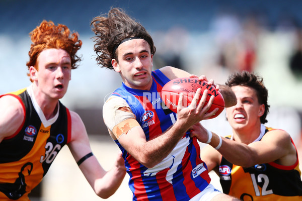 TAC Cup 2018 Grand Final - Dandenong v Oakleigh - 631881