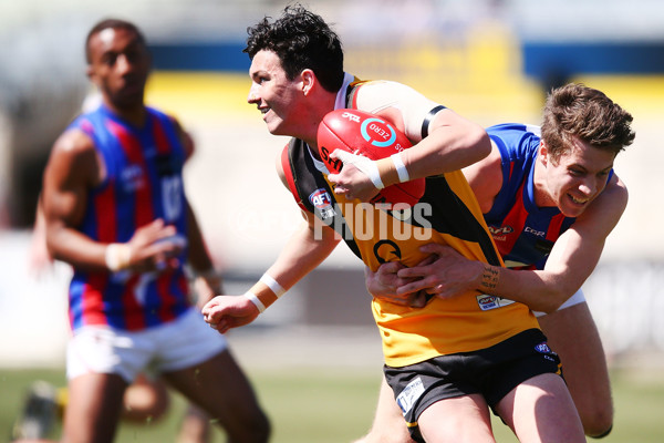 TAC Cup 2018 Grand Final - Dandenong v Oakleigh - 631849