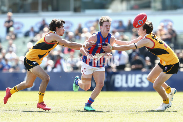 TAC Cup 2018 Grand Final - Dandenong v Oakleigh - 631859